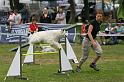 SF4D2736 Kopie